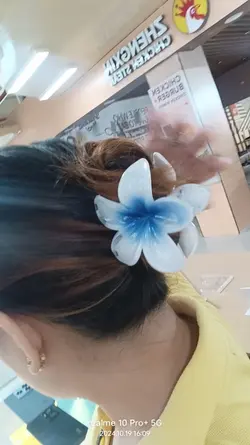 Bohemian Claw clip