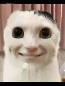 Cat lip syncing