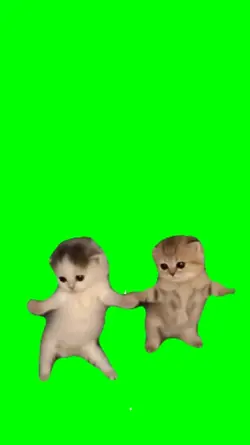 GOT THAT FEEL DANCE