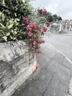 Rainbow text