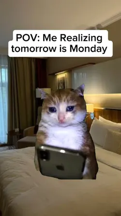 Tomorrow is Monday 