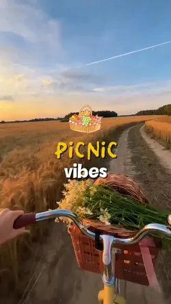 picnic vibes