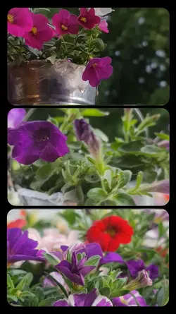 3 picture simple 