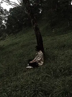3:4 sad song
