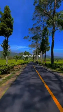 I'm a flirt 