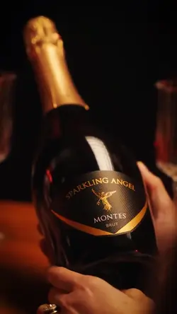 Divulgação de vinhos