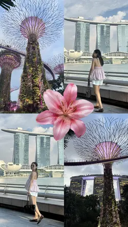 flower overlay