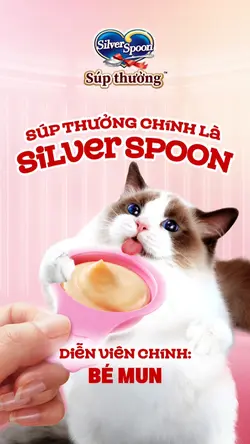 Silver Spoon Casting