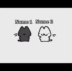 🐈‍⬛🐈