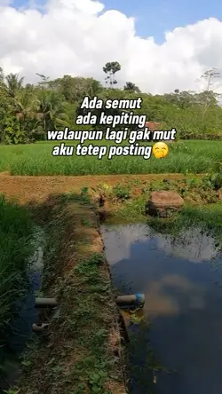 tetap posting