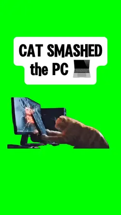  CAT SMASHED THE PC