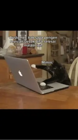 Meme kucing mengetik