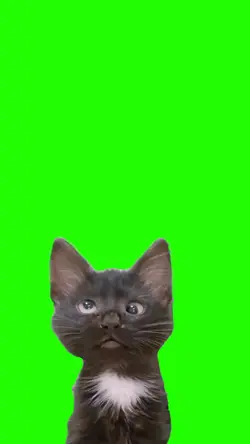 Kucing Haa ¹⁰