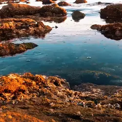 5 video