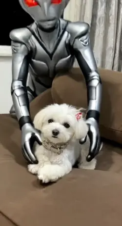 👽…😳…結末は…😱