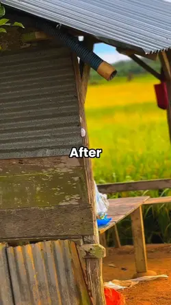 Before & After