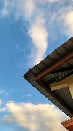 Ku sudah mencoba tuk