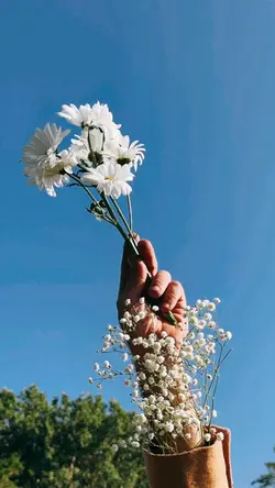 flower slomo