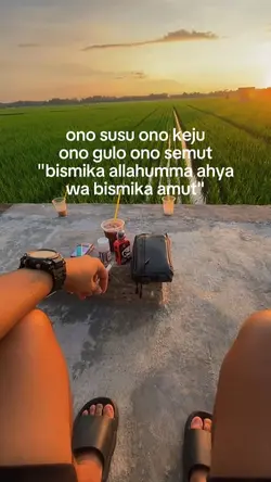 stry wa