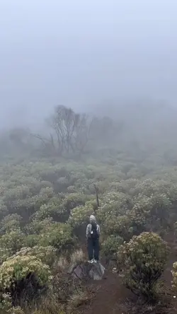 vibes gunung aesteti