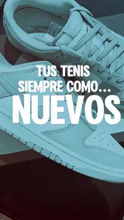Sneskers