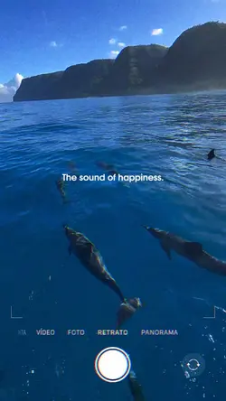 happiness 😇