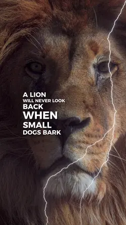  BeALion