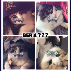 Collab ber 4