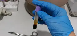SCIENCE 