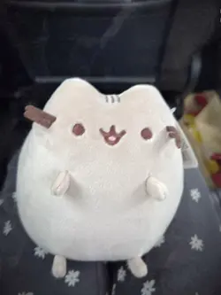 pusheen!!