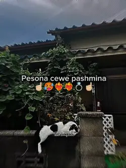 cewe pashmina