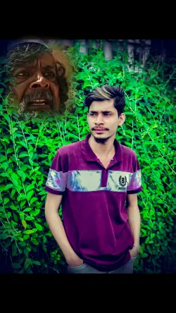 Maa