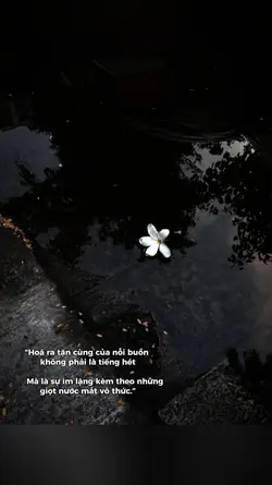 1 ảnh caption
