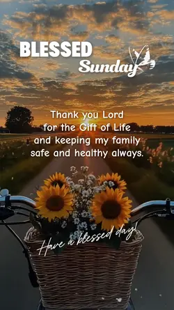 BLESSED SUNDAY 
