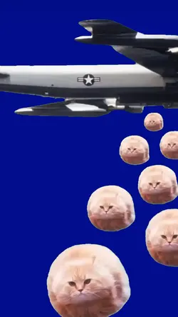 FUNNY MEME