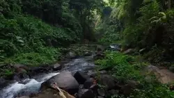 Suasana sejuk