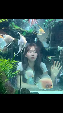 스공을할 수 밖에없는