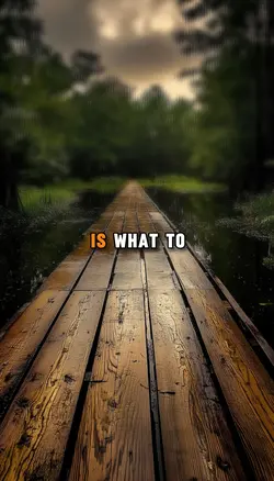 All you have 
