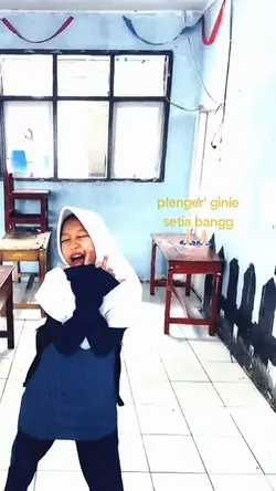 plenger' gini