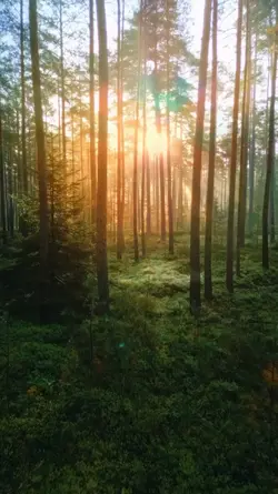 NATURE IS BEAUTIFUL 