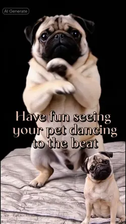 Pet Dancing AI