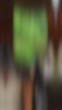 Näzigim