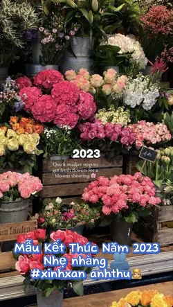 Mẫu Kthúc năm 2023