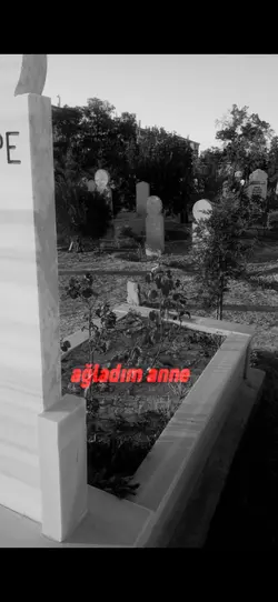 06.02.2023