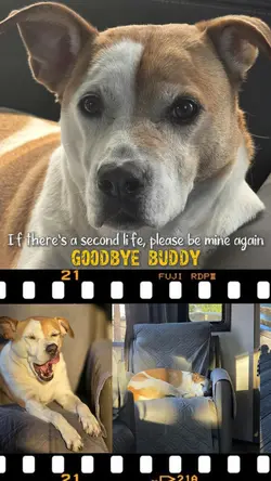 goodbye buddy
