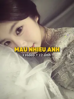 1 video + 12 ảnh