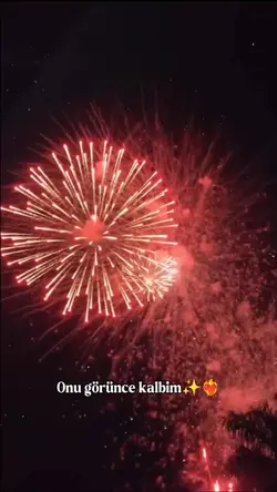 Onu görünce... 