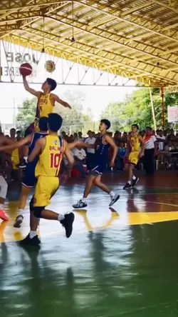 Highlights 