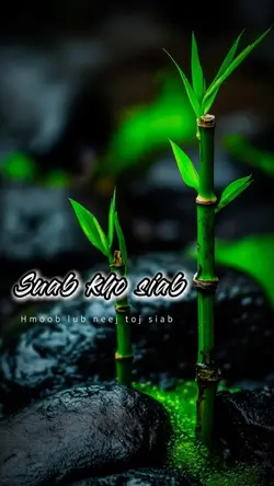 Suab kho siab hmoob
