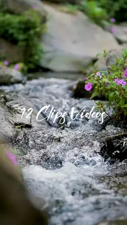 12 Videos Cinematic